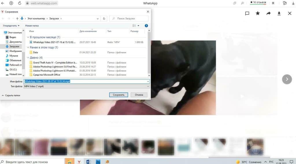 Как скачать видео Ватсап Веб на компьютер с Windows