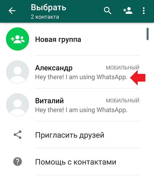 Как выглядит статус в WhatsApp