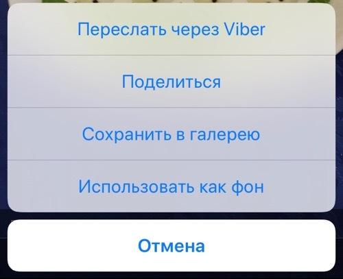 Отправка фото из Viber в WhatsApp